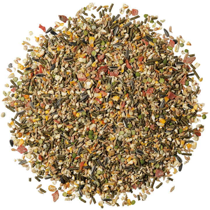 Landleben Freiland Geflügelmüsli